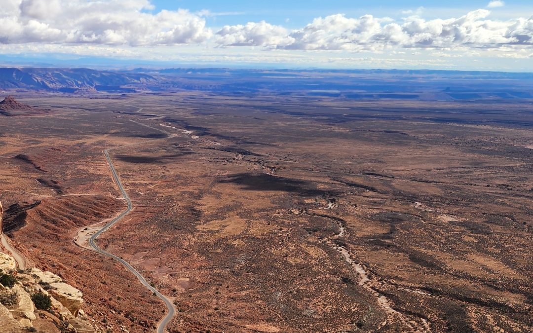 WordTrails as Flight Simulator